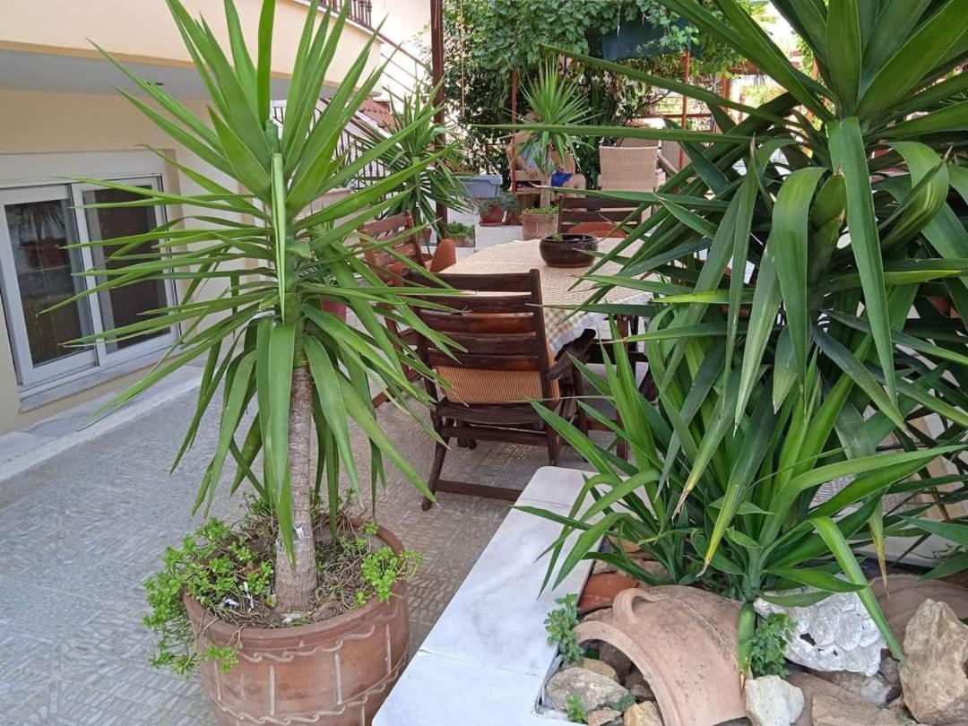 Blue Moon Accommodation Nea Michaniona Ngoại thất bức ảnh